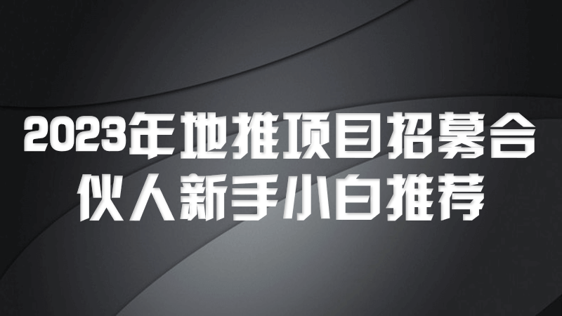 2023年地推项目招募合伙人，适合新手小白的地推项目:小说推文